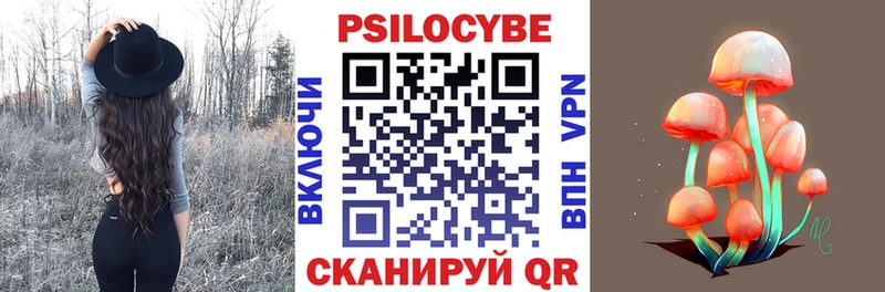 Псилоцибиновые грибы Psilocybe  Невинномысск 