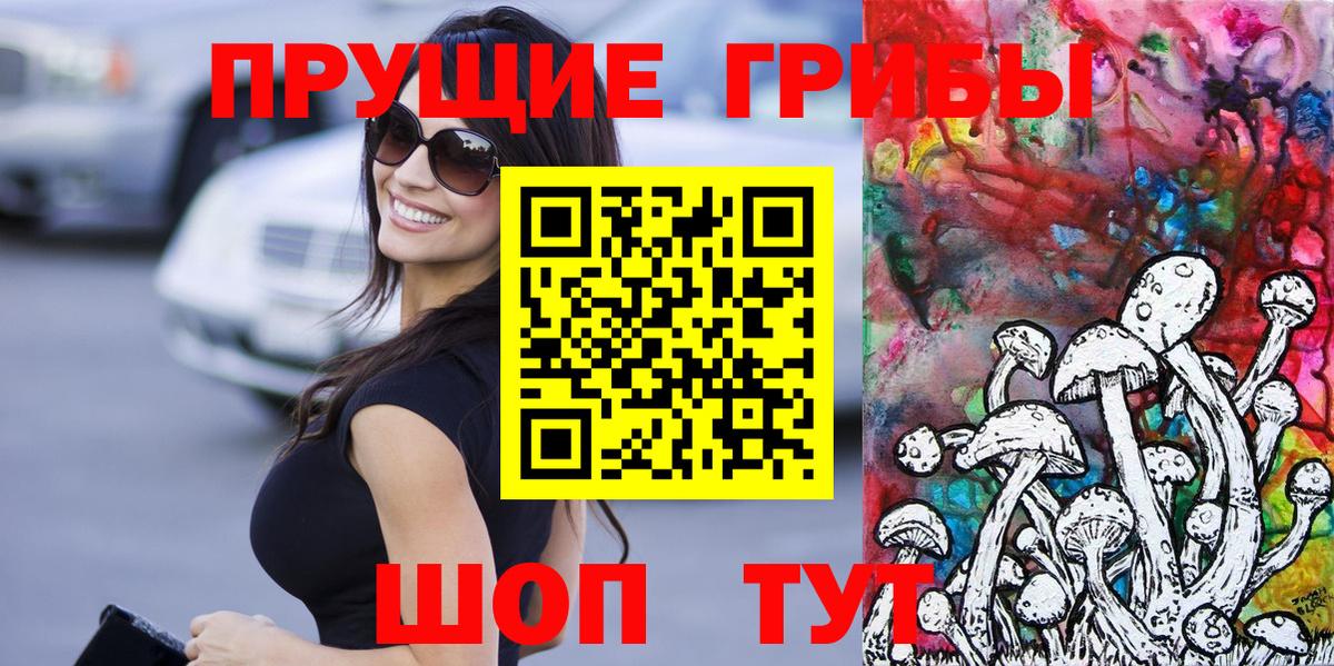 Псилоцибиновые грибы Psilocybe Невинномысск