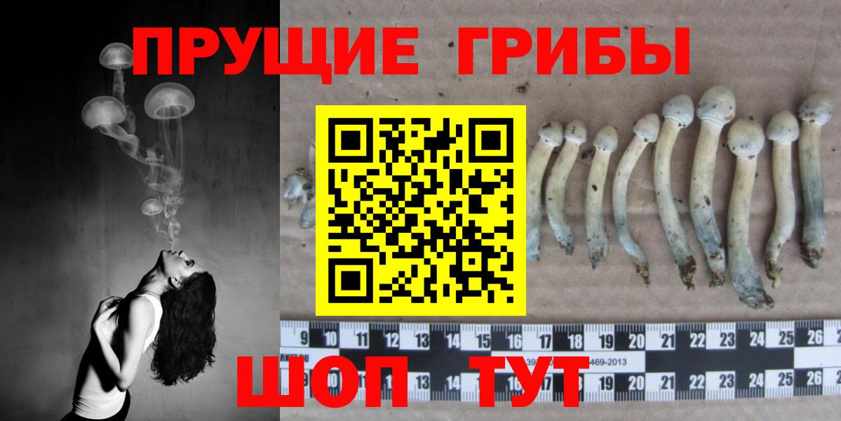 Псилоцибиновые грибы прущие грибы  Вход с VPN  как найти закладки  Невинномысск 